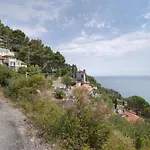 Oasi
