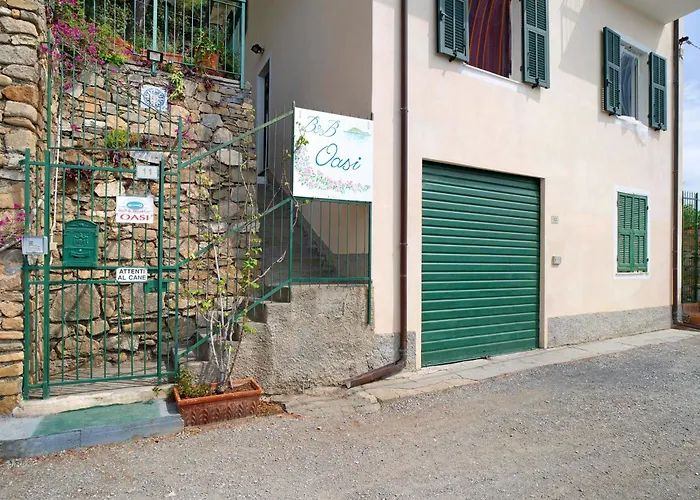 Oasi