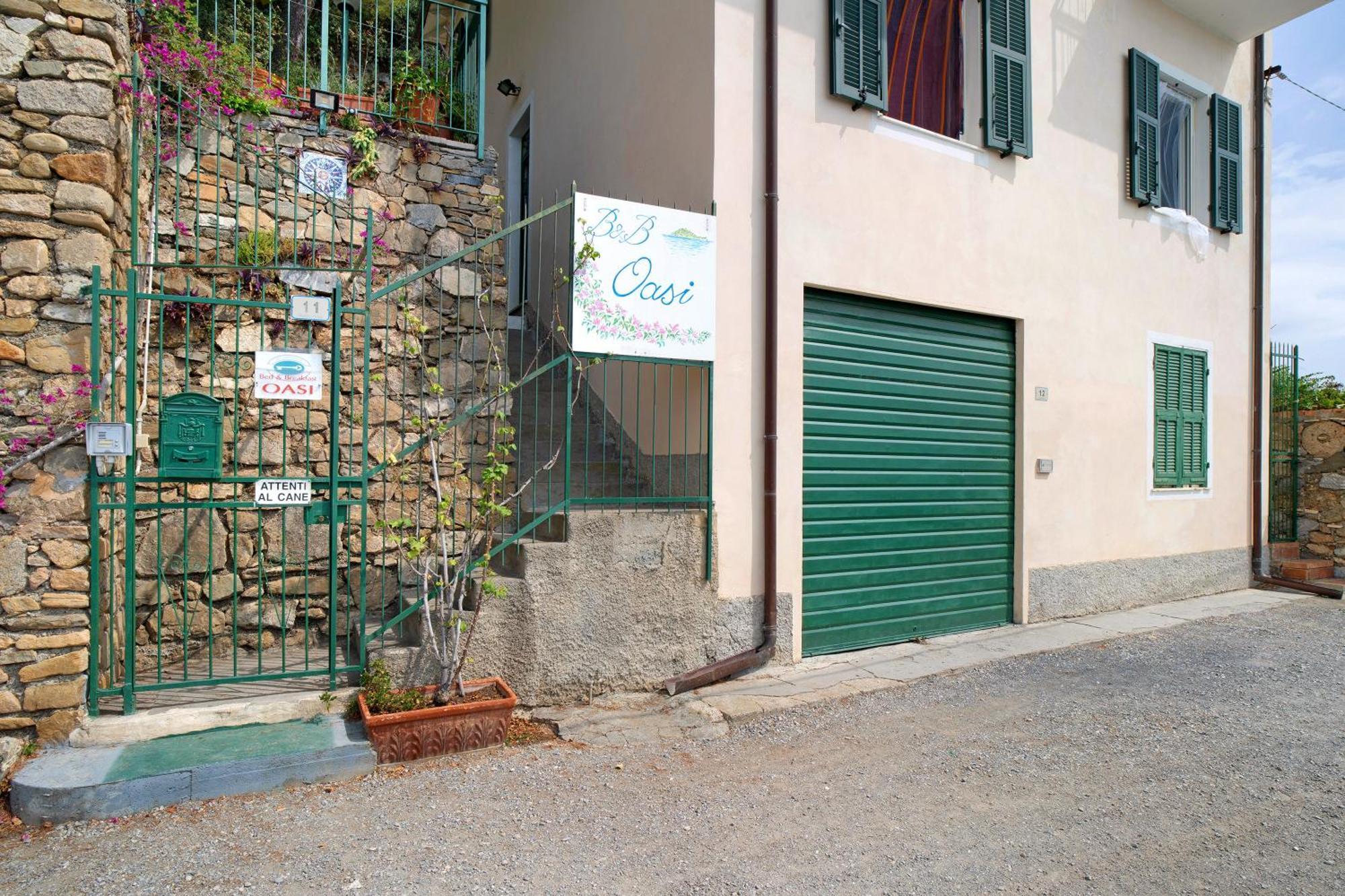 Oasi